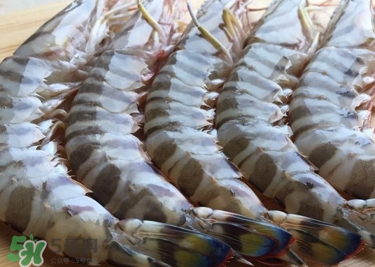 竹節(jié)蝦該怎么吃？竹節(jié)蝦怎么處理干凈