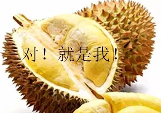 多大的小孩可以開始吃榴蓮？寶寶多大可以吃榴蓮？