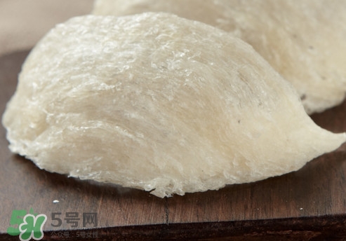 燕窩是燕子的口水嗎？燕窩是怎么形成的