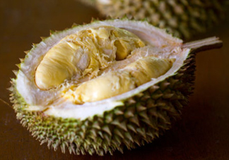 托曼尼榴蓮怎么才是熟？托曼尼榴蓮怎么看生熟？