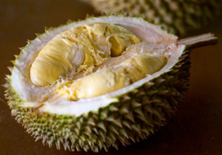 托曼尼榴蓮又叫什么？托曼尼榴蓮簡(jiǎn)介