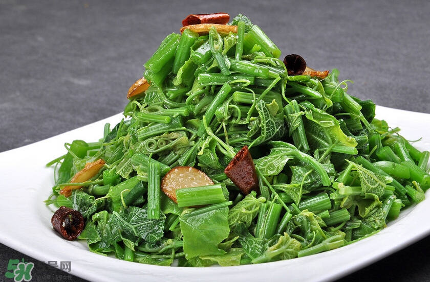 龍須菜怎么清洗？龍須菜怎么處理？