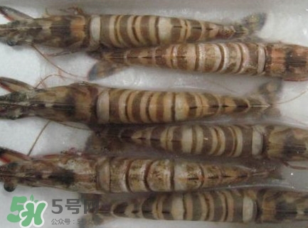 九節(jié)蝦多少錢一斤？九節(jié)蝦跟基圍蝦是一個(gè)品種嗎