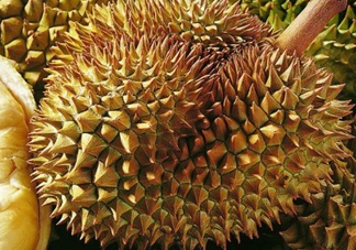 甲侖榴蓮和金枕哪個貴？甲侖榴蓮和金枕的區(qū)別