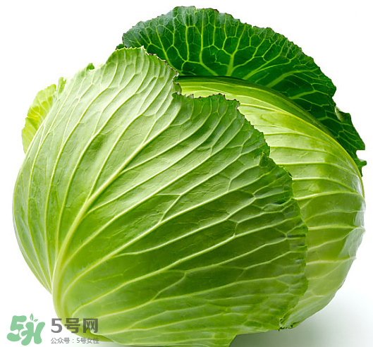 8月份吃什么蔬菜？八月份適合吃什么蔬菜？