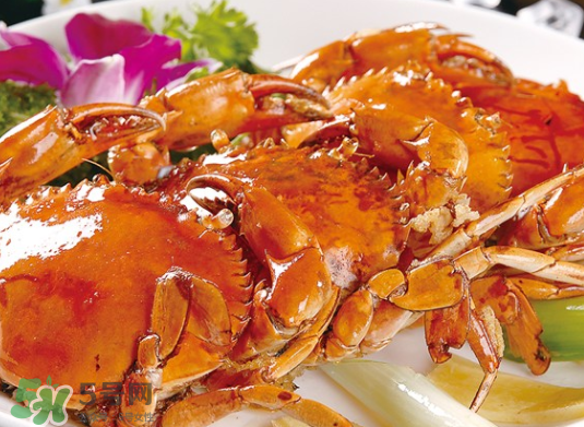 8月份吃什么螃蟹？8月份吃公蟹還是母蟹？