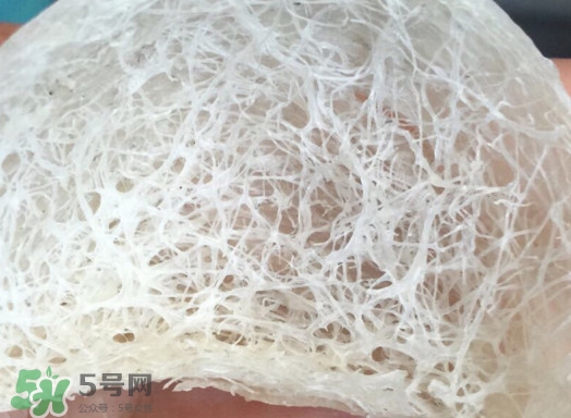 馬來西亞燕窩好還是印尼好？馬來西亞燕窩和印尼燕窩區(qū)別