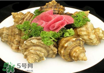 海螺可以冷凍嗎？海螺放冰箱能保存多久