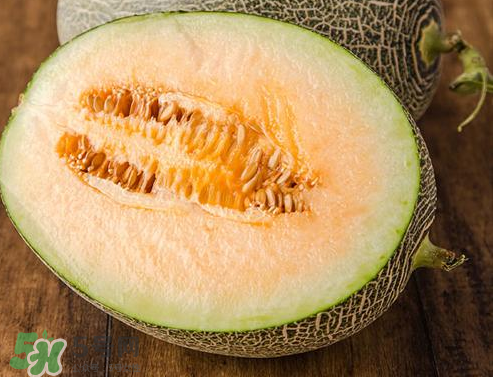 西州蜜瓜多少錢一斤？西州蜜瓜怎么挑選？