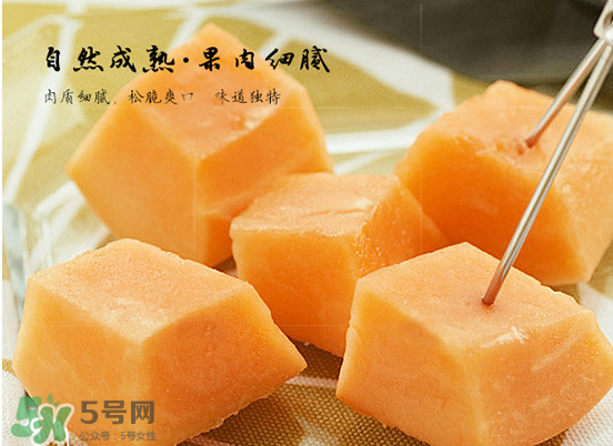 西州蜜瓜什么季節(jié)熟？西州蜜瓜幾月份成熟？