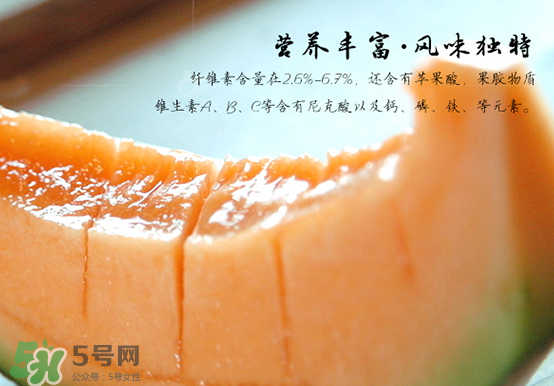 西州蜜瓜什么季節(jié)熟？西州蜜瓜幾月份成熟？