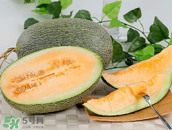 西州蜜瓜什么季節(jié)熟？西州蜜瓜幾月份成熟？