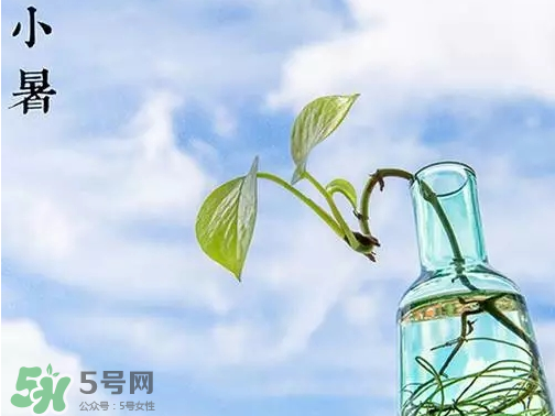 小暑是頭伏嗎？小暑是初伏嗎？