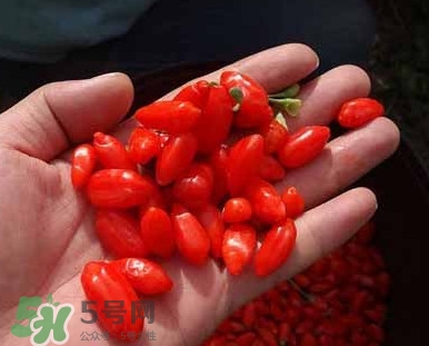 枸杞鮮果屬水果嗎？枸杞鮮果什么味道