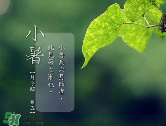 2017年小暑會下雨嗎？小暑這一天下雨好嗎？