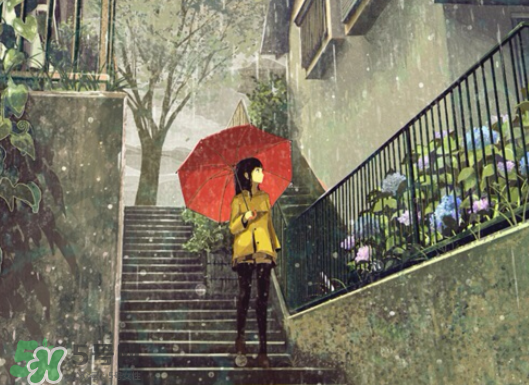 2017年小暑會下雨嗎？小暑這一天下雨好嗎？