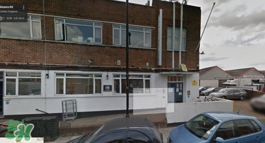 dayshow是什么牌子？dayshow是哪國國家的？