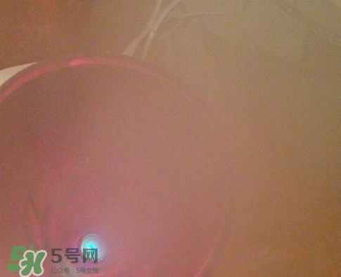 松下蒸臉器和金稻哪個好？松下蒸臉器和金稻蒸臉器對比