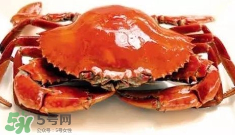 石夾紅螃蟹什么時候有？石夾紅螃蟹什么時候最肥