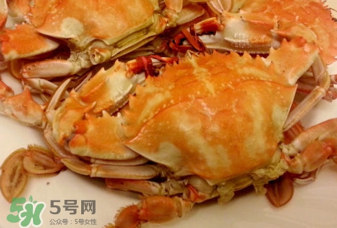 花蓋蟹怎么做好吃？花蓋蟹怎么分公母