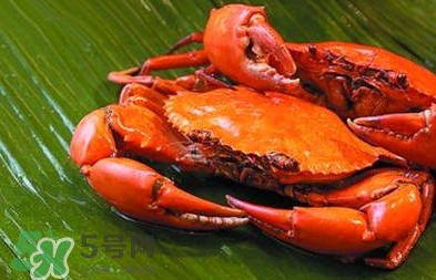 花蓋蟹怎么處理干凈？花蓋蟹如何清洗