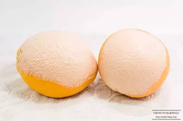 悅詩風(fēng)吟洗臉儀好用嗎？悅詩風(fēng)吟洗臉儀和luna潔面儀對比