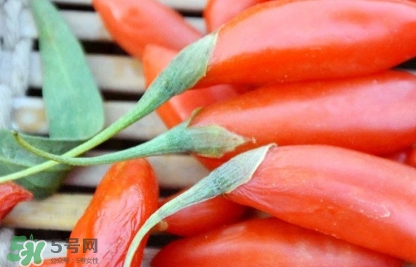 青海和寧夏枸杞哪個好？青海枸杞和寧夏枸杞的區(qū)別