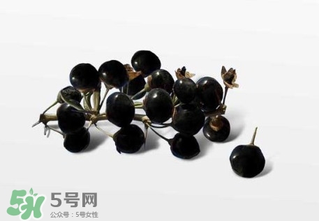 新鮮枸杞多少錢一斤？2017枸杞鮮果價格