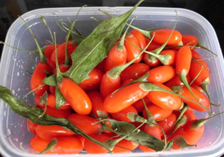 枸杞鮮果怎么保存？枸杞鮮果保鮮期有多久