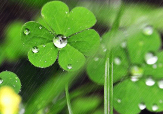 2017年小暑會下雨嗎？小暑這一天下雨好嗎？