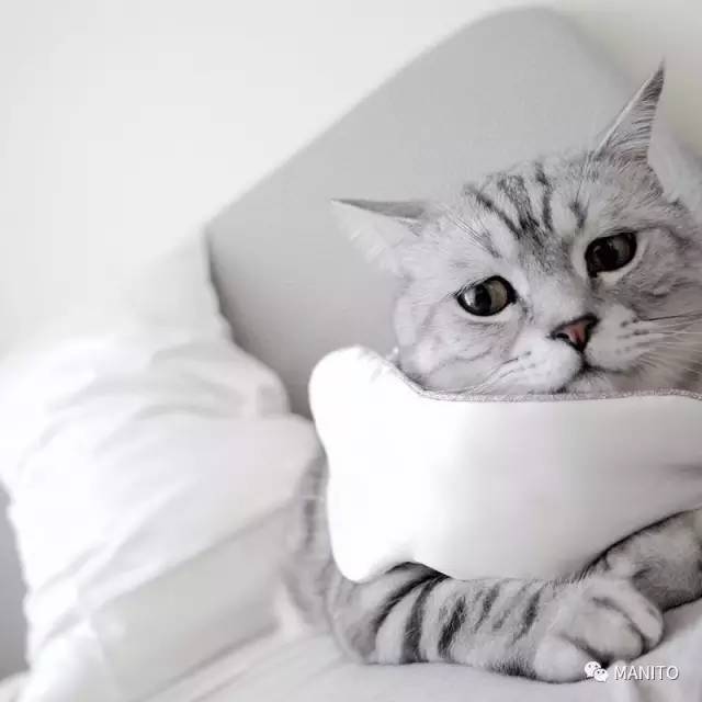 manito真絲眼罩多少錢(qián)？manito真絲眼罩專(zhuān)柜價(jià)格