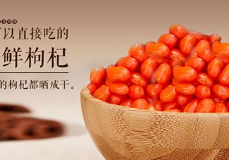 枸杞鮮果能吃嗎？鮮枸杞好還是干枸杞好