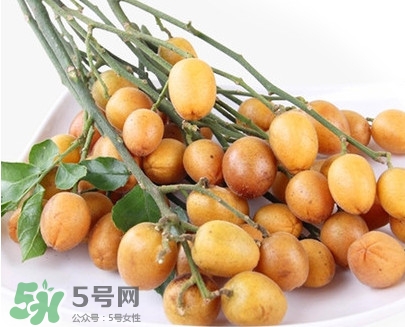 黃皮果是小金橘嗎？黃皮果和小金橘的區(qū)別