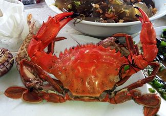 石夾紅螃蟹怎么吃？石夾紅螃蟹煮多久