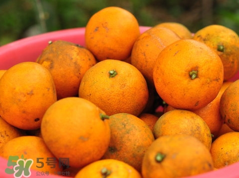 桔子什么時(shí)候成熟？桔子什么時(shí)候上市？
