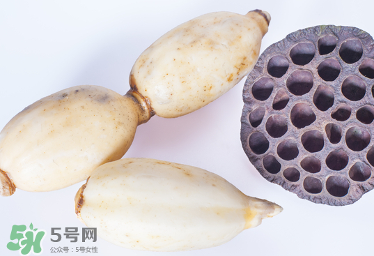 蓮蓬和蓮藕一樣嗎？蓮蓬和蓮藕的區(qū)別