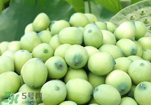 新鮮蓮蓬孕婦能吃嗎？孕婦可以吃新鮮蓮蓬嗎？