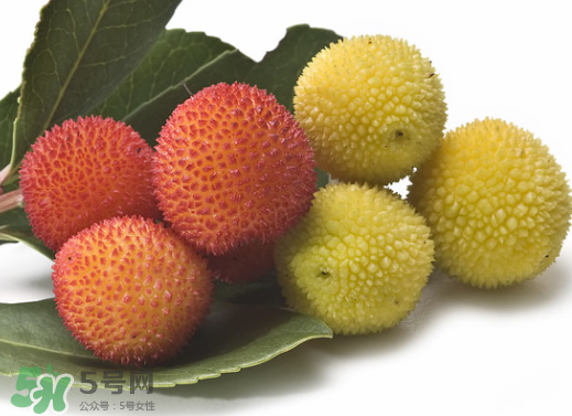 新鮮楊梅怎么保存得更長時(shí)間？新鮮楊梅能保存幾天？