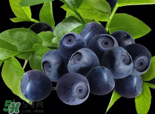 新鮮藍莓可以直接吃嗎？新鮮藍莓怎么吃才好吃？