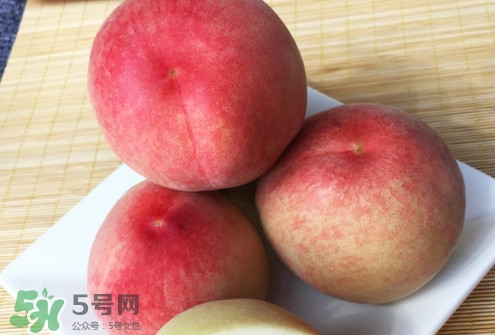 脆桃是什么品種？脆桃什么時候上市