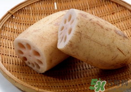 紅蓮藕和白蓮藕哪個好？紅蓮藕和白蓮藕區(qū)別