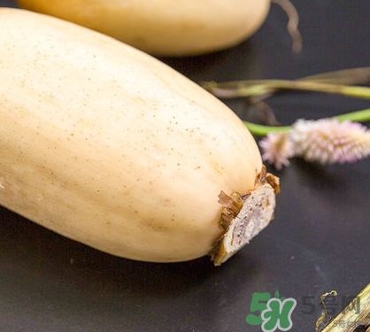 紅蓮藕和白蓮藕哪個好？紅蓮藕和白蓮藕區(qū)別