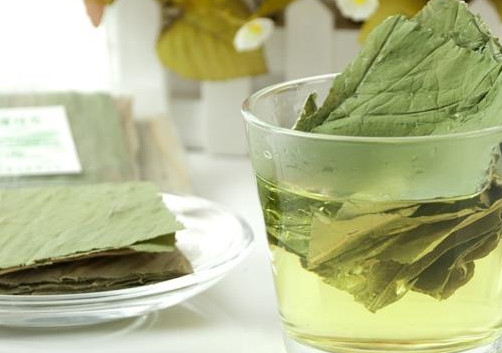 荷葉茶要不要清洗？荷葉茶喝了會上火嗎