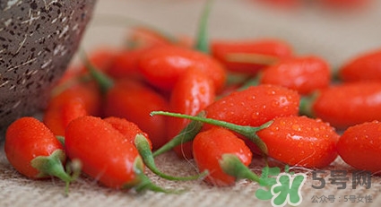 如何辨別枸杞是否新鮮？鮮枸杞可以直接食用嗎