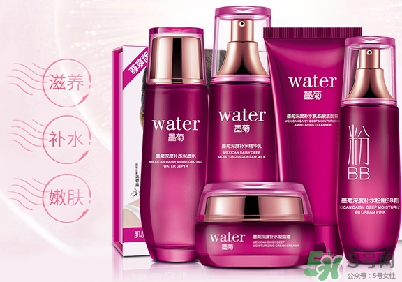 一枝春是什么牌子？一枝春化妝品怎么樣