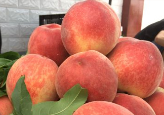 脆桃和軟桃哪個好吃？脆桃跟軟桃有什么區(qū)別？