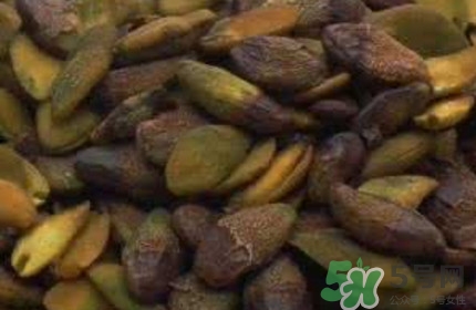 黃皮果核能治療什么?。奎S皮核的功效與作用