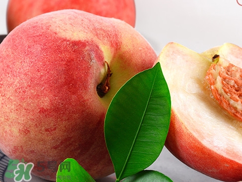 脆桃是什么品種？脆桃什么時候上市