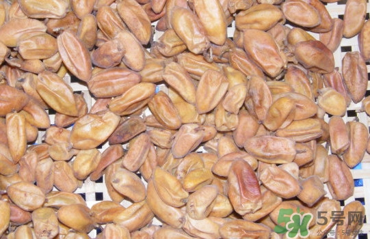 黃皮果核可以種嗎？黃皮果核可以吃嗎