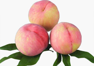 脆桃有什么營養(yǎng)？脆桃的營養(yǎng)價值